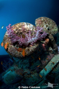 Put flowers in your cannons.. by Pietro Cremone 
